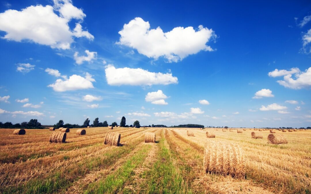 Elections Chambre d’agriculture 2025